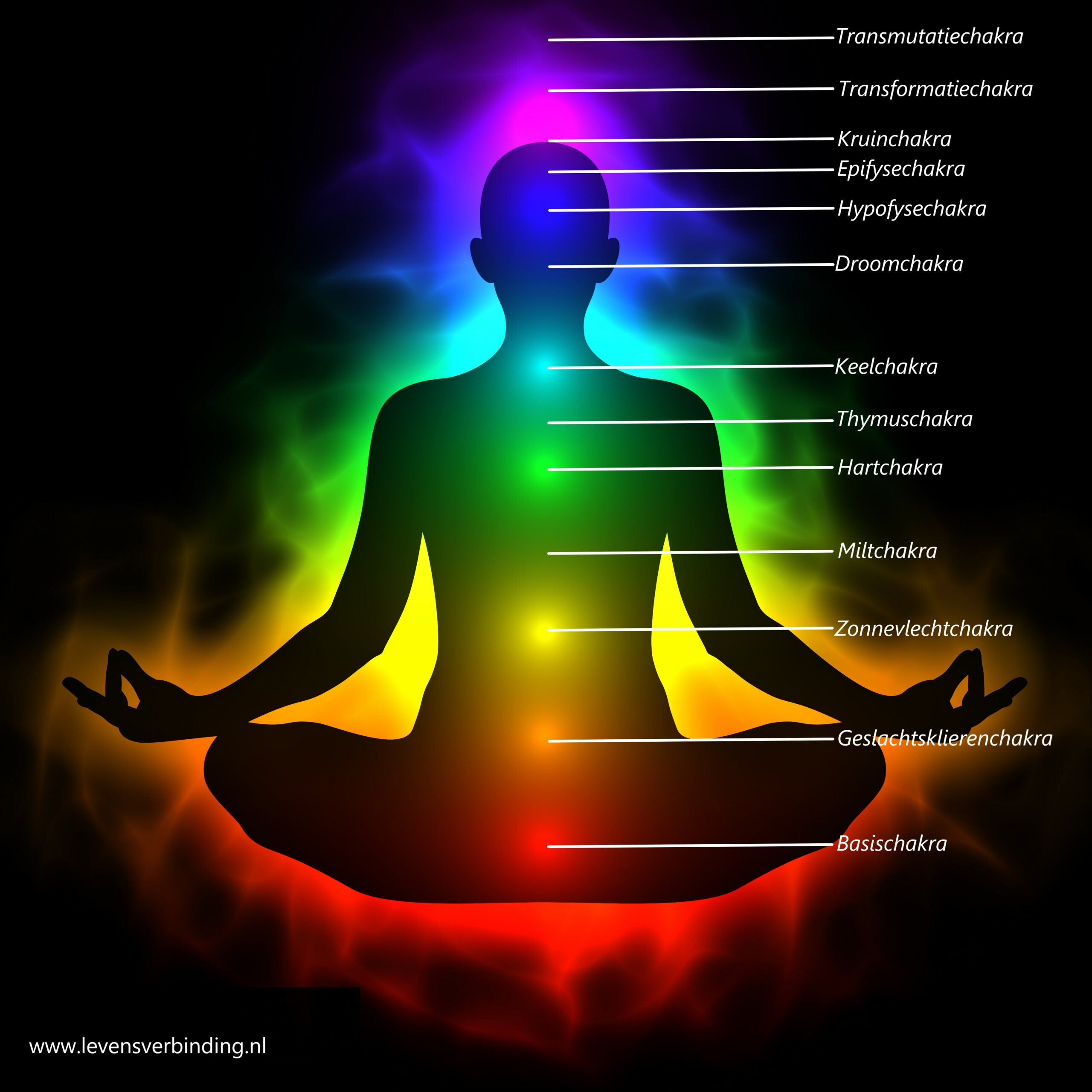 Reis door 13 chakra’s, een transformatie- en bewustzijnsreis: Live online