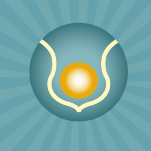 Soul Body Fusion® groepssessie