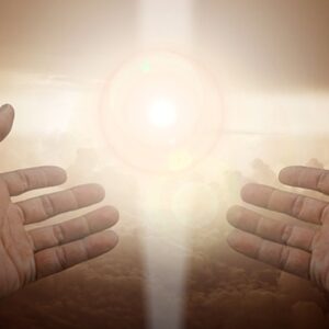 Terug naar het begin – helen van prenataal trauma en geboortetrauma: traject voor volwassenen